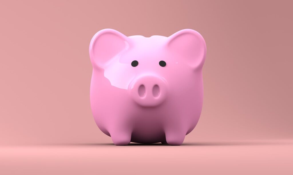 piggy-bank-money-finance-2889042